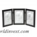 Brayden Studio Ponce Hinged Triple Picture Frame BRSD3507